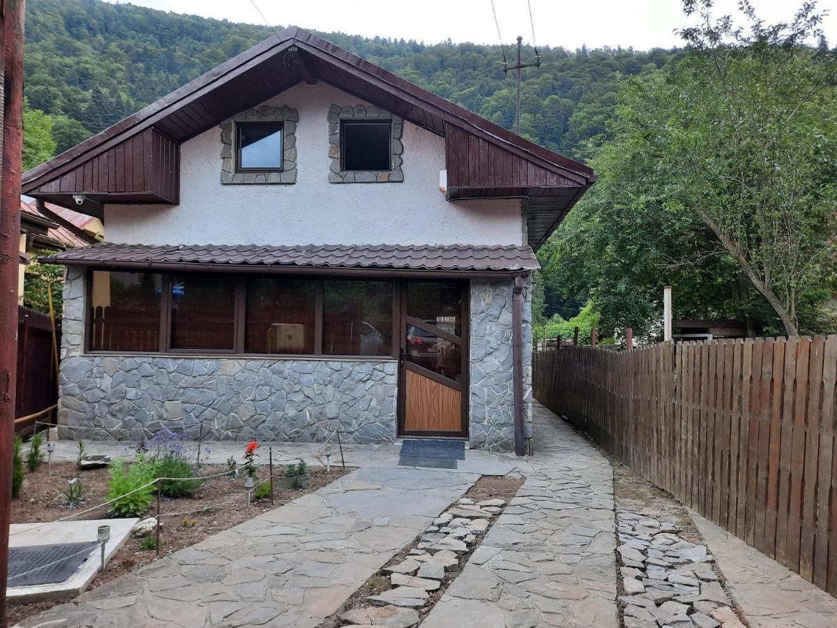Villa Casa Crissio Sinaia Exterior foto